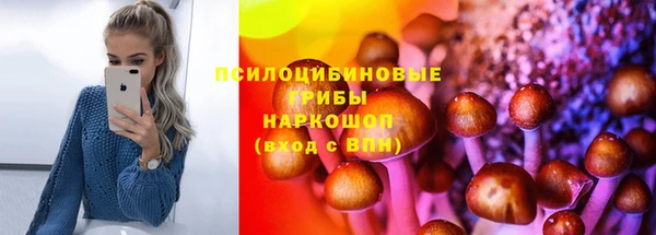 шишки Алексин