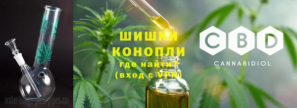 шишки Алексин